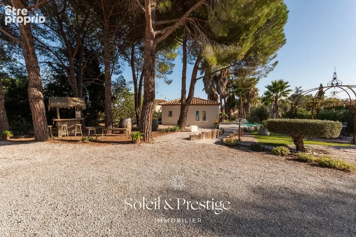 TOURBES - Maison d'architecte avec dépendance, piscine, double garage sur terrain arboré - photo 6