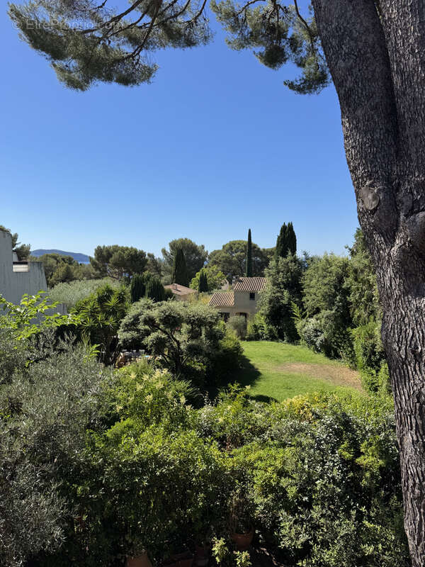 Quartier Fontsainte - T2 39m2 - Terrasse vue pinède et mer   Résidence avec piscine - Parking privé - 299 000€ - photo 14