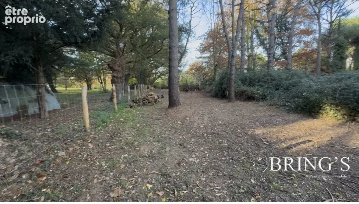Terrain 3 979 m² à vendre à Chateaubriant (44110) - photo 2