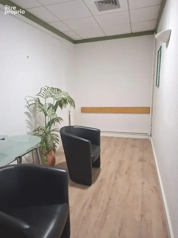 Appartement 358 m² à Saint-Gaudens  - photo 5