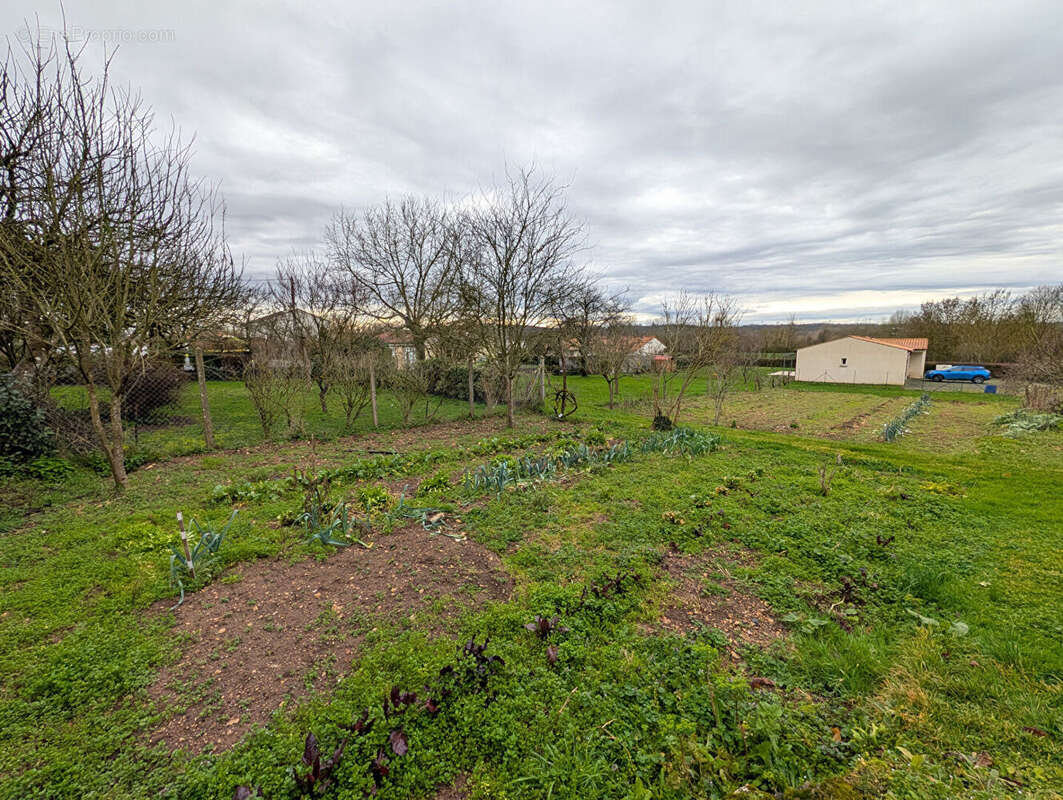 Terrain à LA MOTHE-SAINT-HERAY