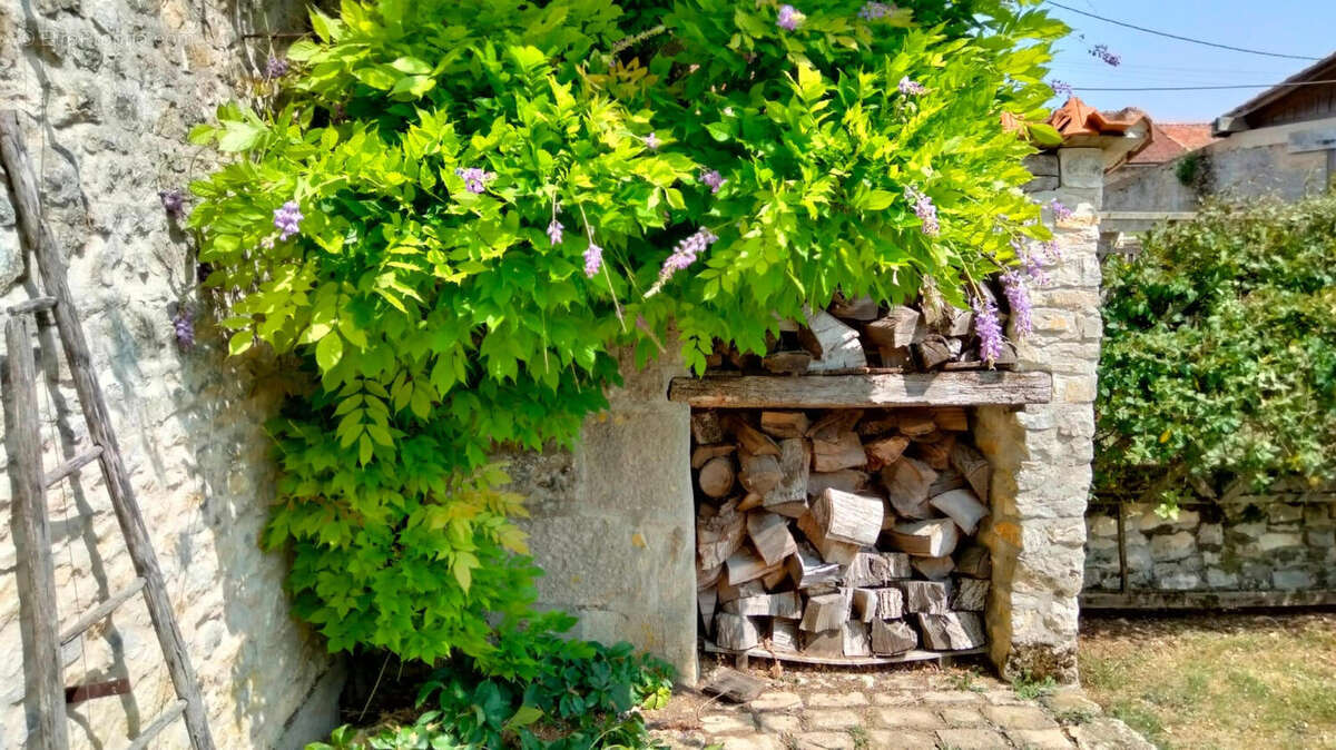 EXTERIEUR - Maison à CELLEFROUIN