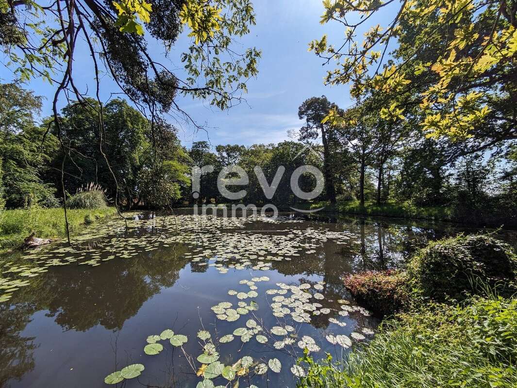 Terrain à SAINT-COLOMBAN