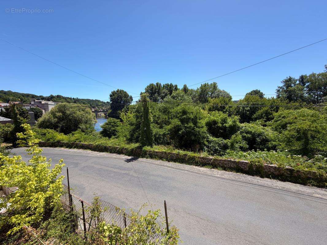 Vue sur la Vézère, terrasse plein sud et fort potentiel locatif au cœur du Périgord Noir - photo 4
