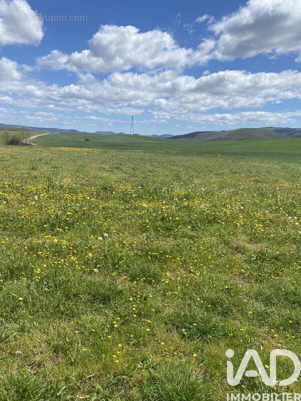 Photo 1 - Terrain à BELMONT-SUR-RANCE