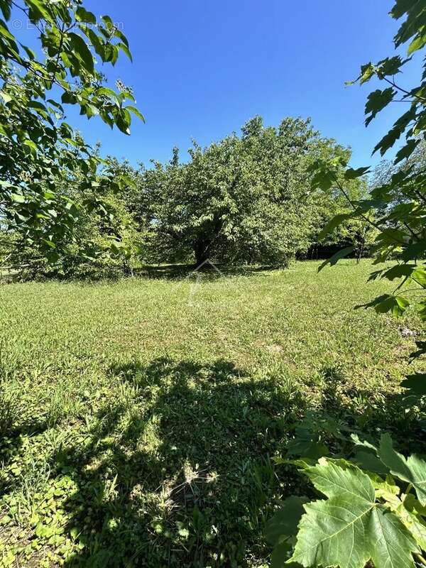 Terrain à BELLENAVES