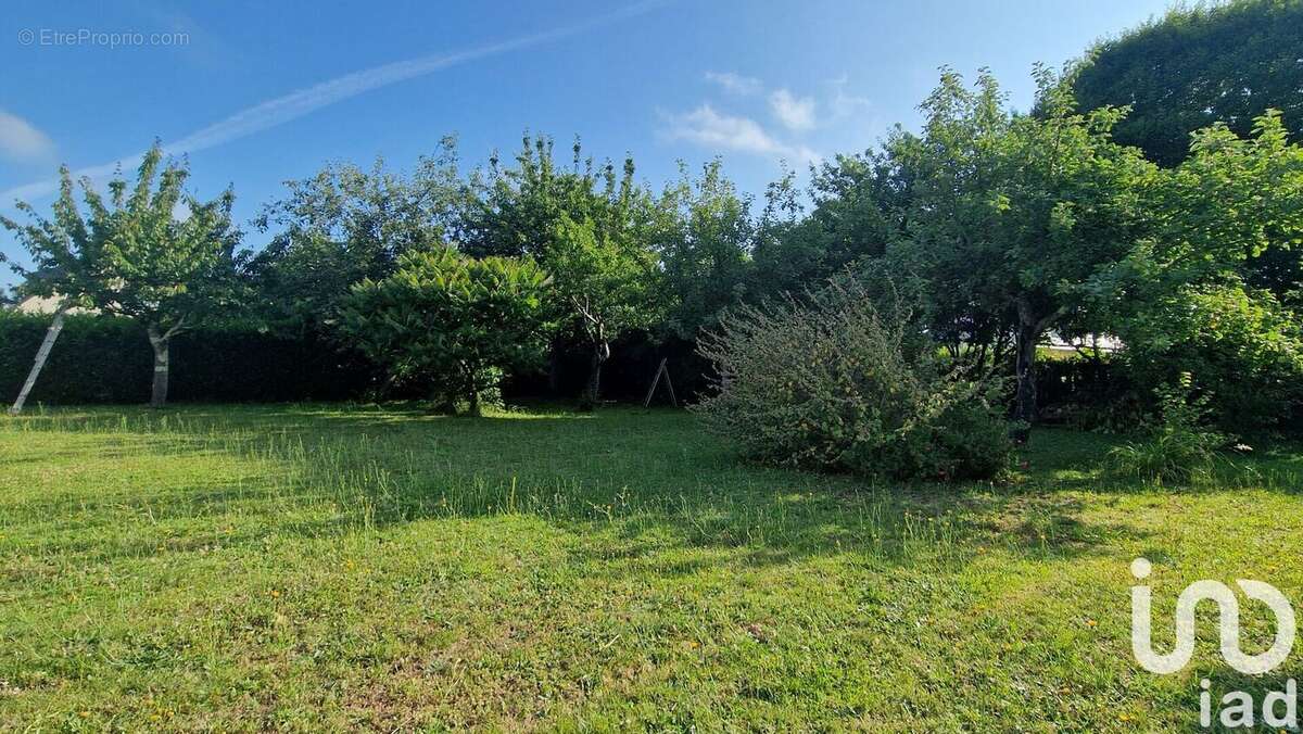 Photo 2 - Terrain à SARZEAU