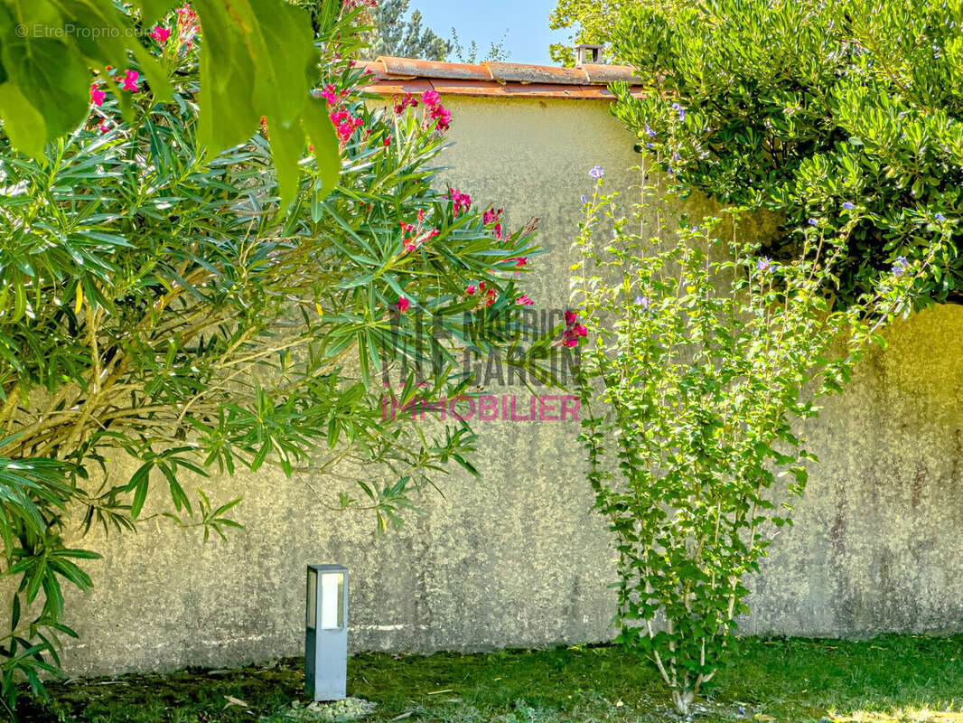 Maison 147 m² à Monteux  - photo 5
