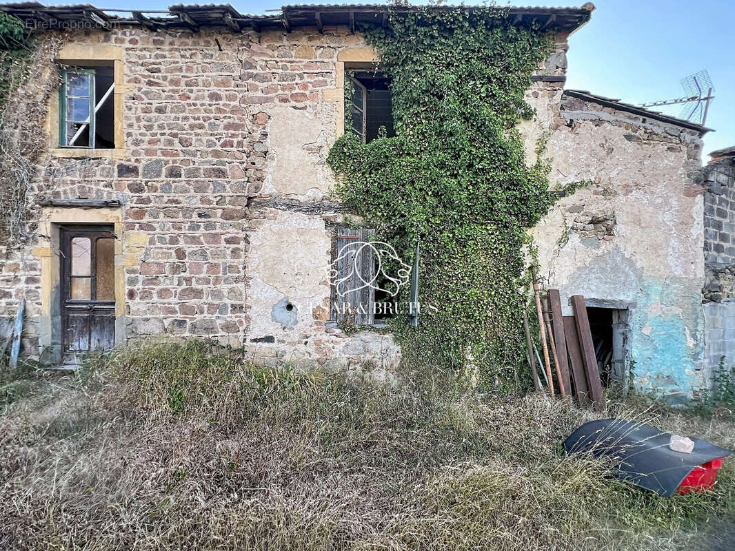 Maison 750 m² à Saint-Jean-Saint-Maurice-Sur-Loire  - photo 3