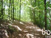 Photo 1 - Terrain à VERRERIES-DE-MOUSSANS