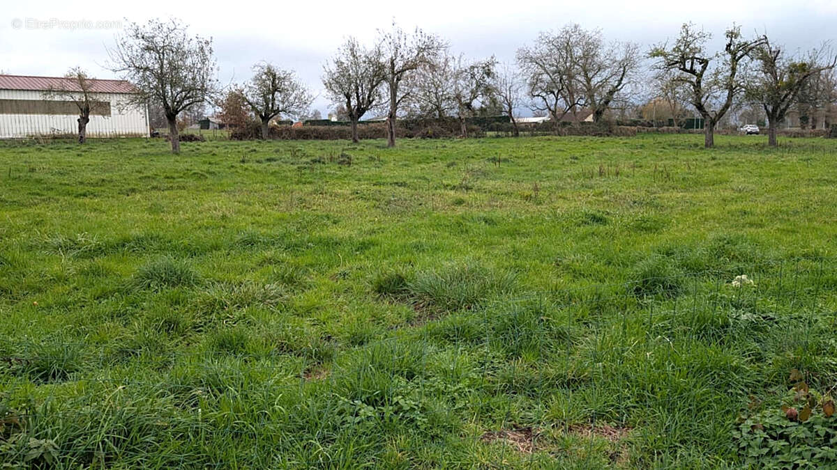 Terrain à PERIGNY