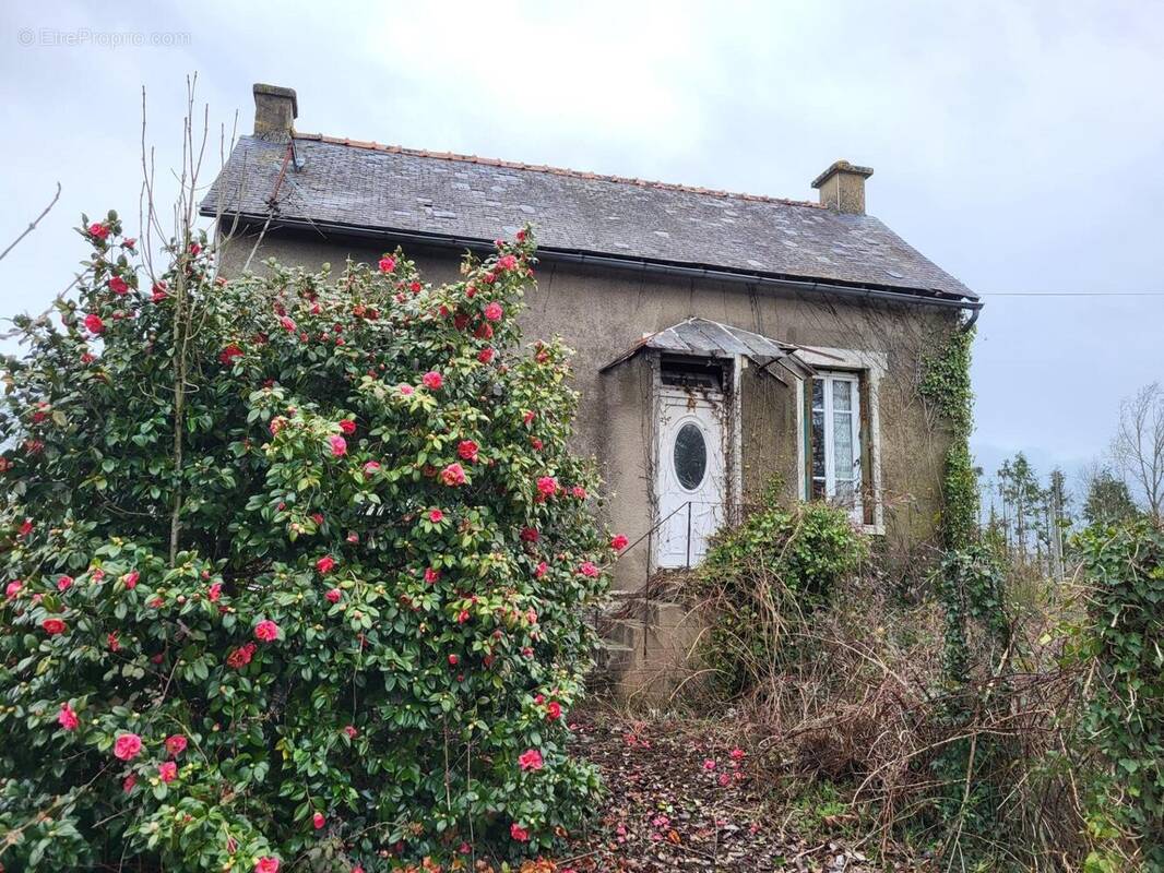 Photo 1 - Maison à GUEGON