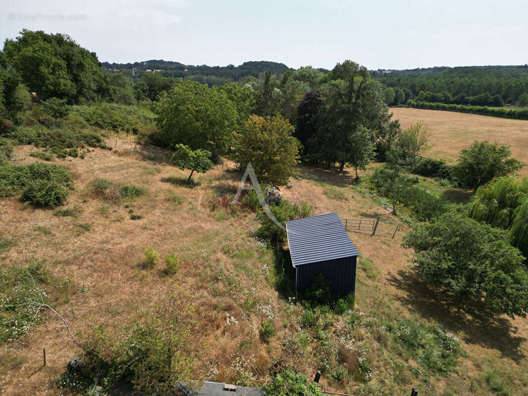 Terrain Loigne Sur Mayenne 23946 m2 - photo 2