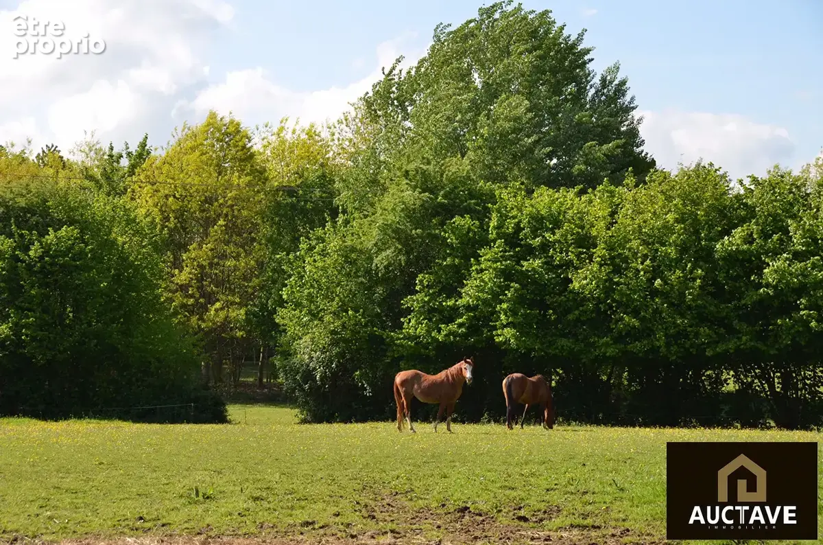 Manoir de caractère à Alençon sur 3.5 hectares,  fenêtres à meneaux, maison d'amis, 6 chambres - photo 8
