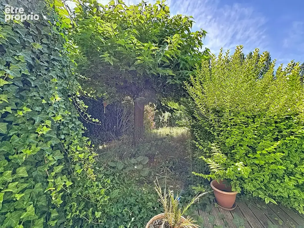 Maison T2bis 60m² avec jardin Entraigues Sur La Sorgue - photo 3