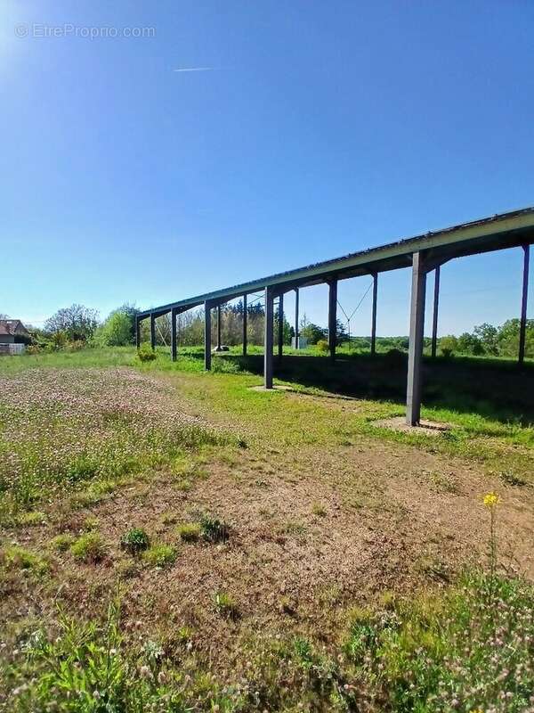 Terrain à SAINT-MARTIN-DE-RIBERAC