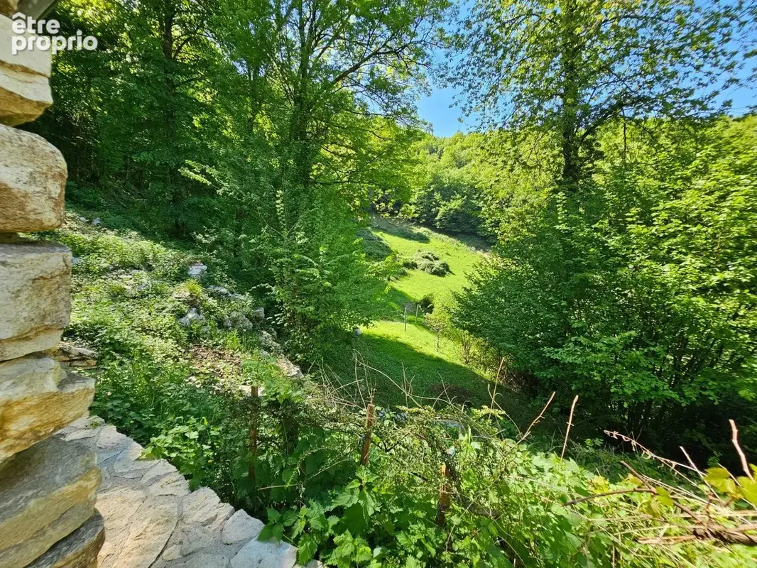 Maison 10 pièces 290 m² à vendre à Saint-Jean-En-Royans (26190) - photo 8