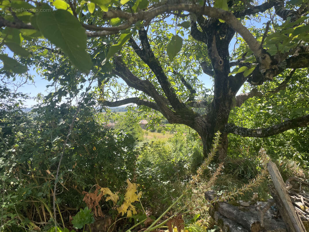 Maison à LES SALLES-DE-CASTILLON