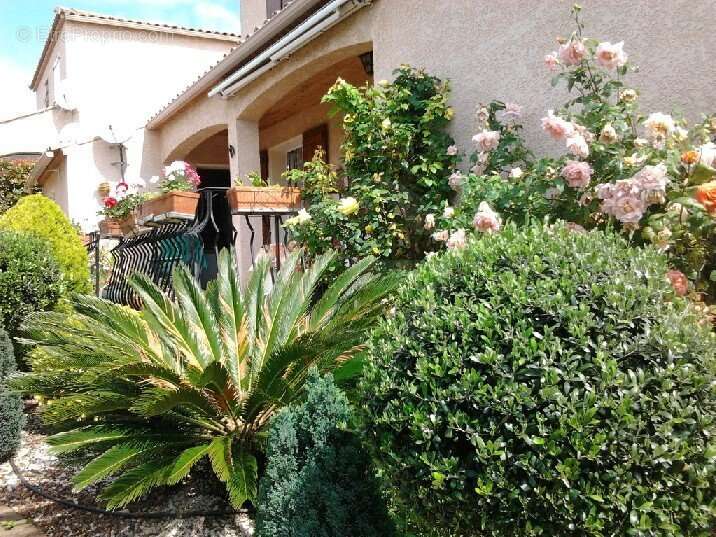 Maison à BALARUC-LES-BAINS