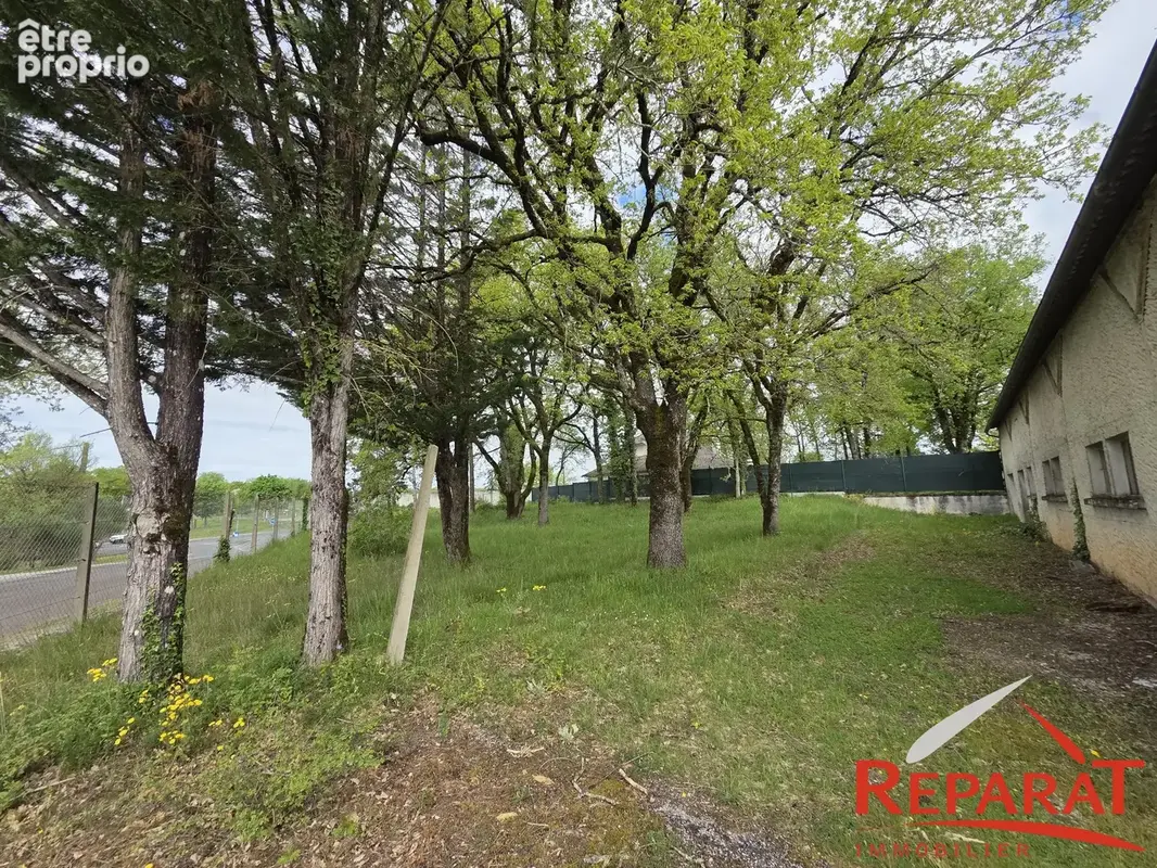 Commerce 250 m² à vendre à Nespouls (19600) - photo 6