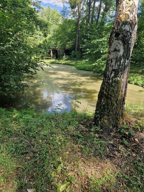 Terrain à PARGNY-FILAIN