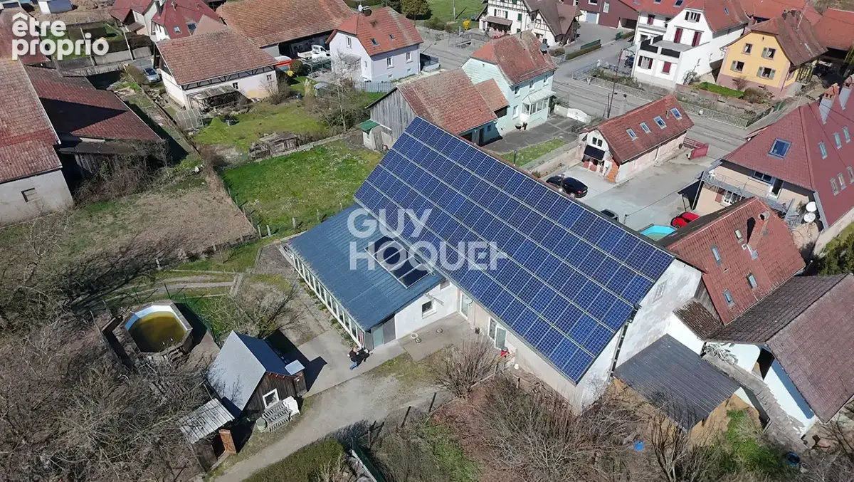 Ensemble Immobilier Aspach Le Bas 34 pièces 800 m2 - photo 2