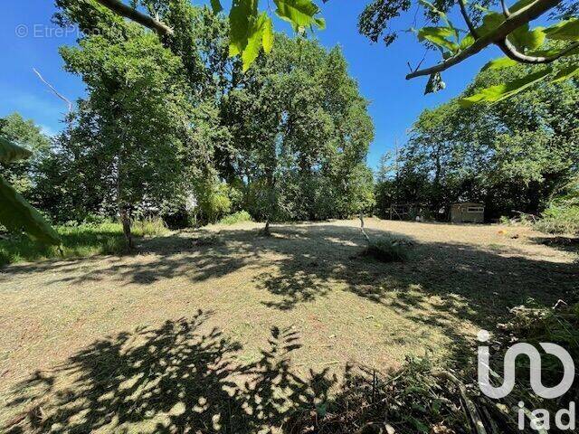 Photo 1 - Terrain à RIEC-SUR-BELON