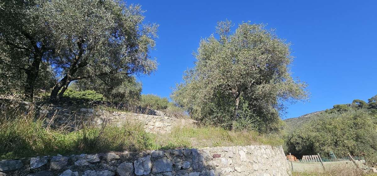 Terrain à TOURRETTE-LEVENS