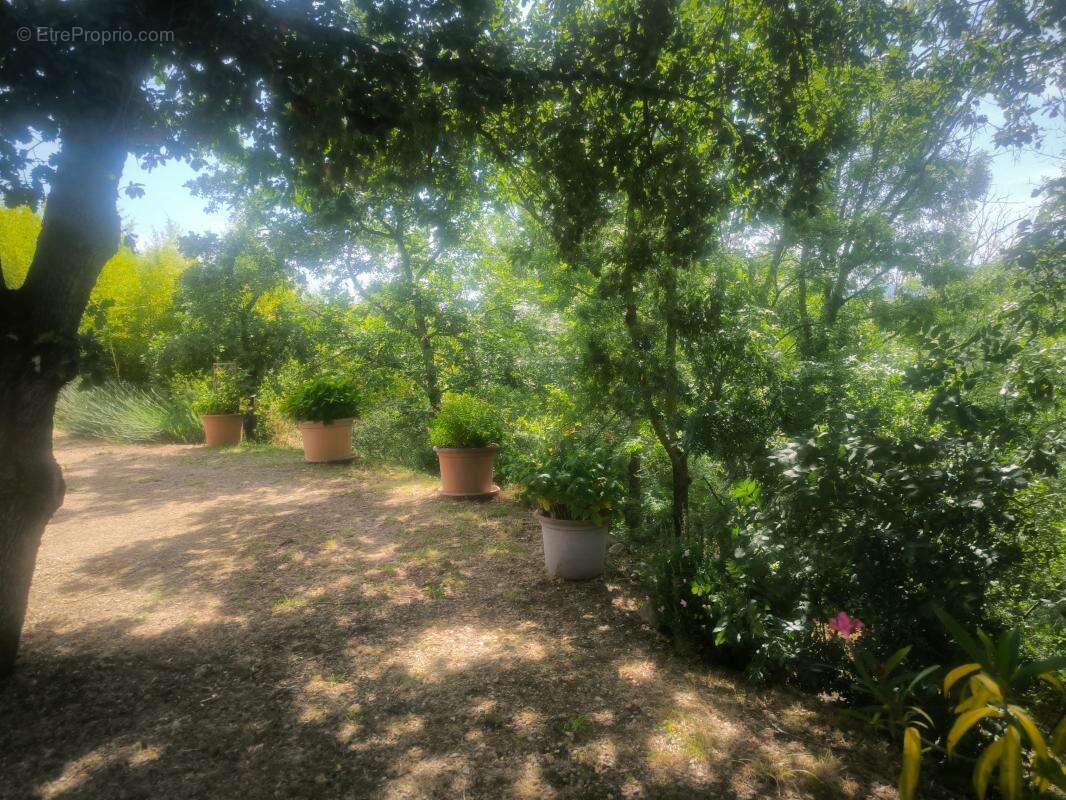 2 VILLAS  avec beau terrain et piscine - photo 31