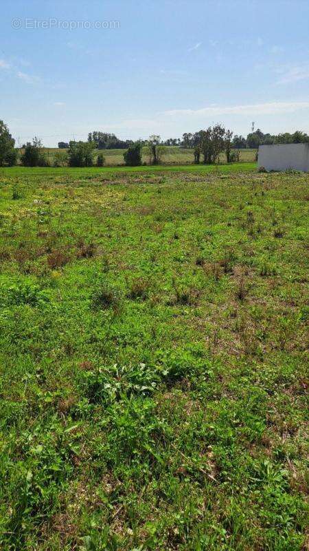 Terrain à THAIRE