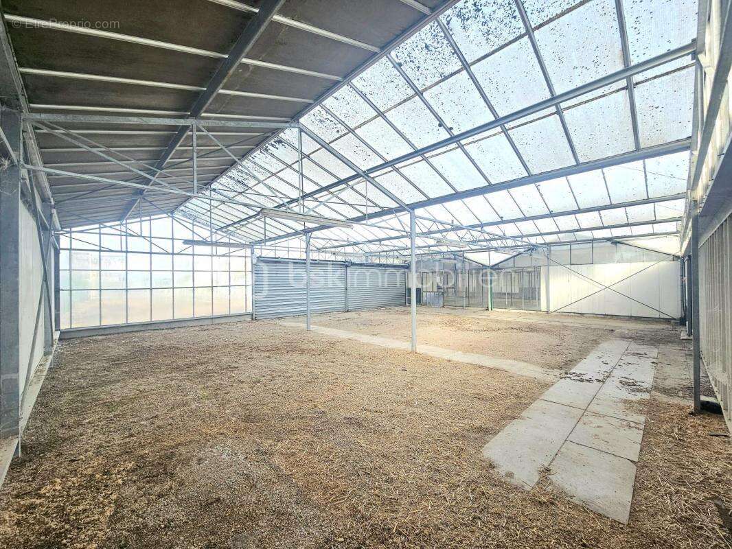 Commerce à SULLY-SUR-LOIRE