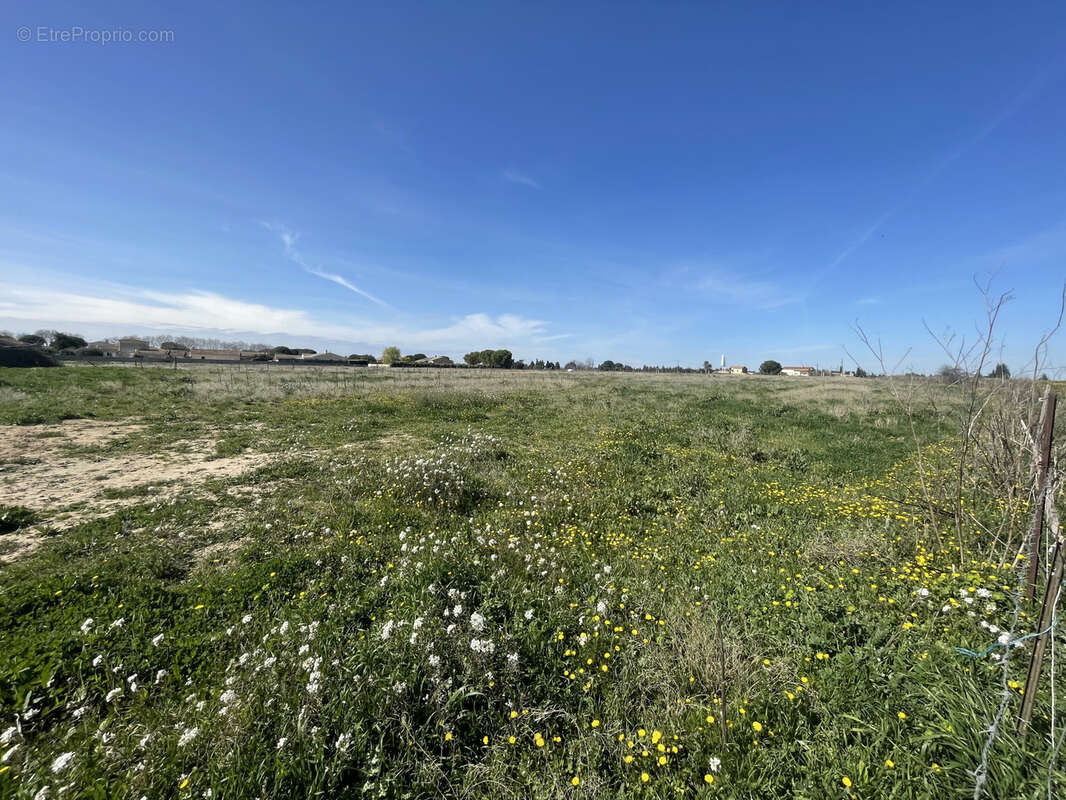 Terrain à NIMES