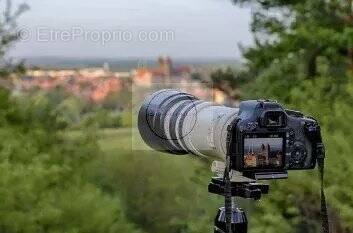 Terrain à MONT-SAINT-PERE