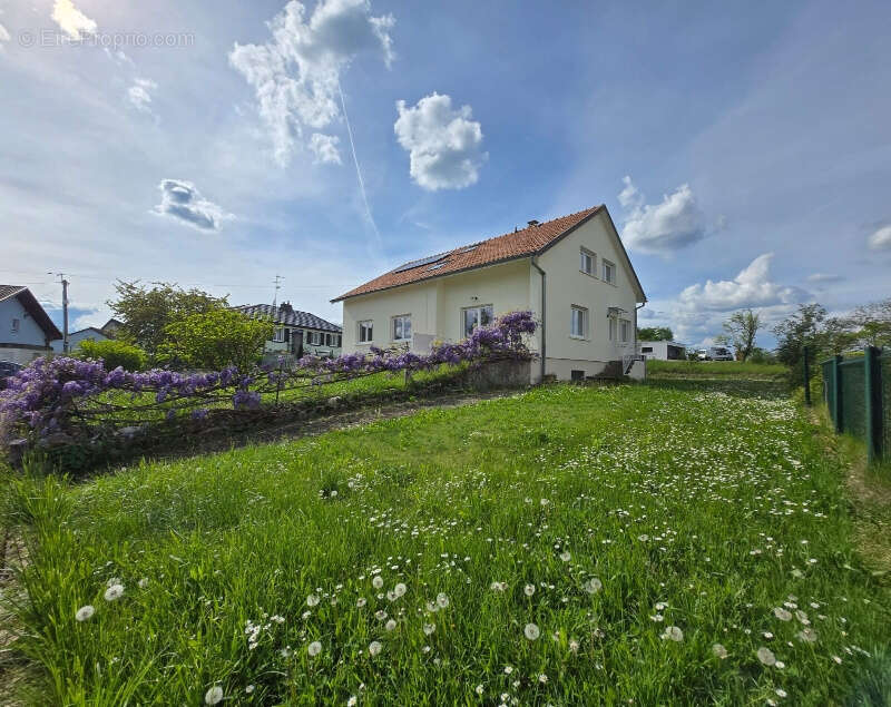 Maison à BUSCHWILLER