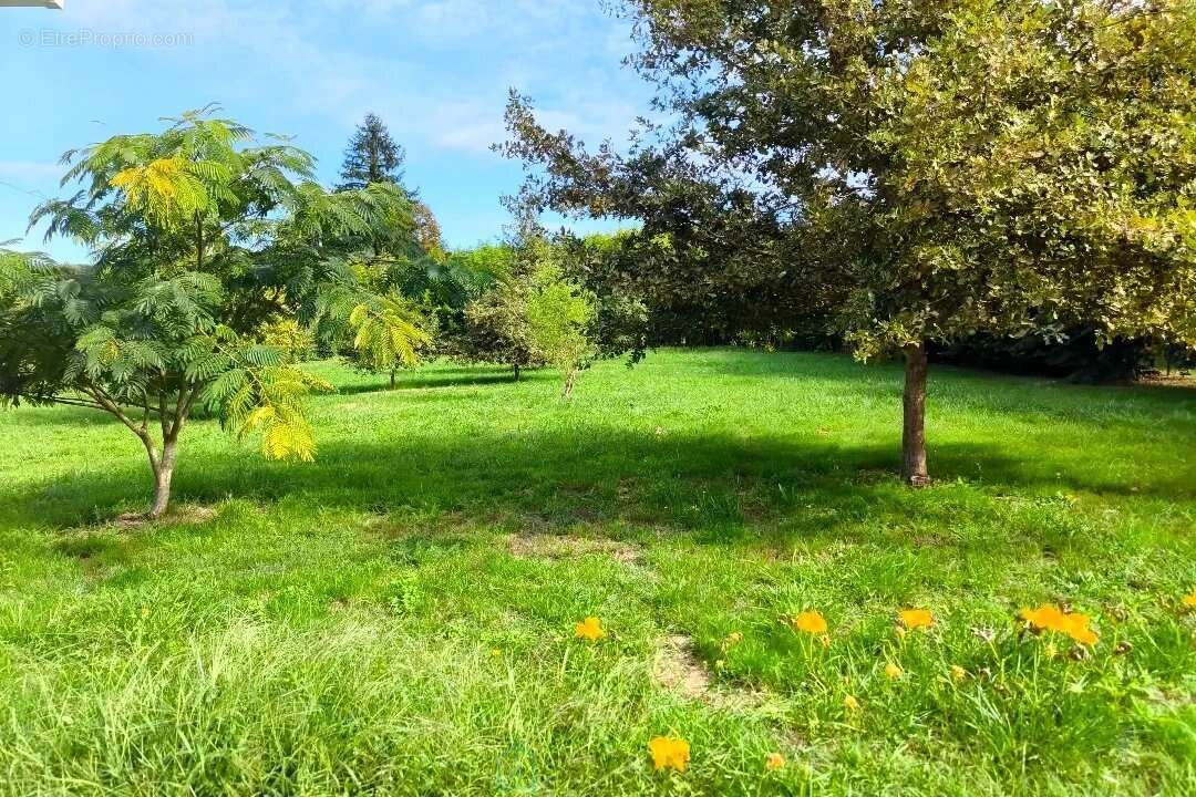 Maison à MOULEYDIER