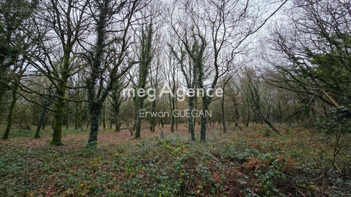 Maison à KERGRIST-MOELOU