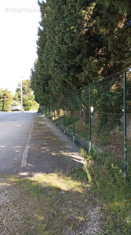 Terrain à CHATEAURENARD