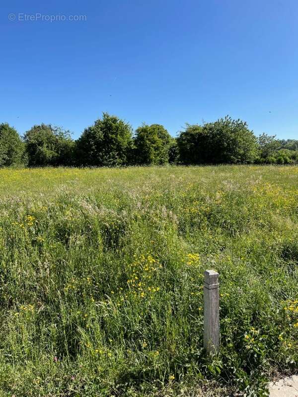 Terrain 778 m² à Bertry  - photo 4