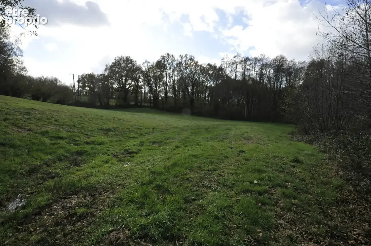 Terrain Agricole ou de Loisir d'un seul tenant, idéal pour chevaux ou animaux - photo 17
