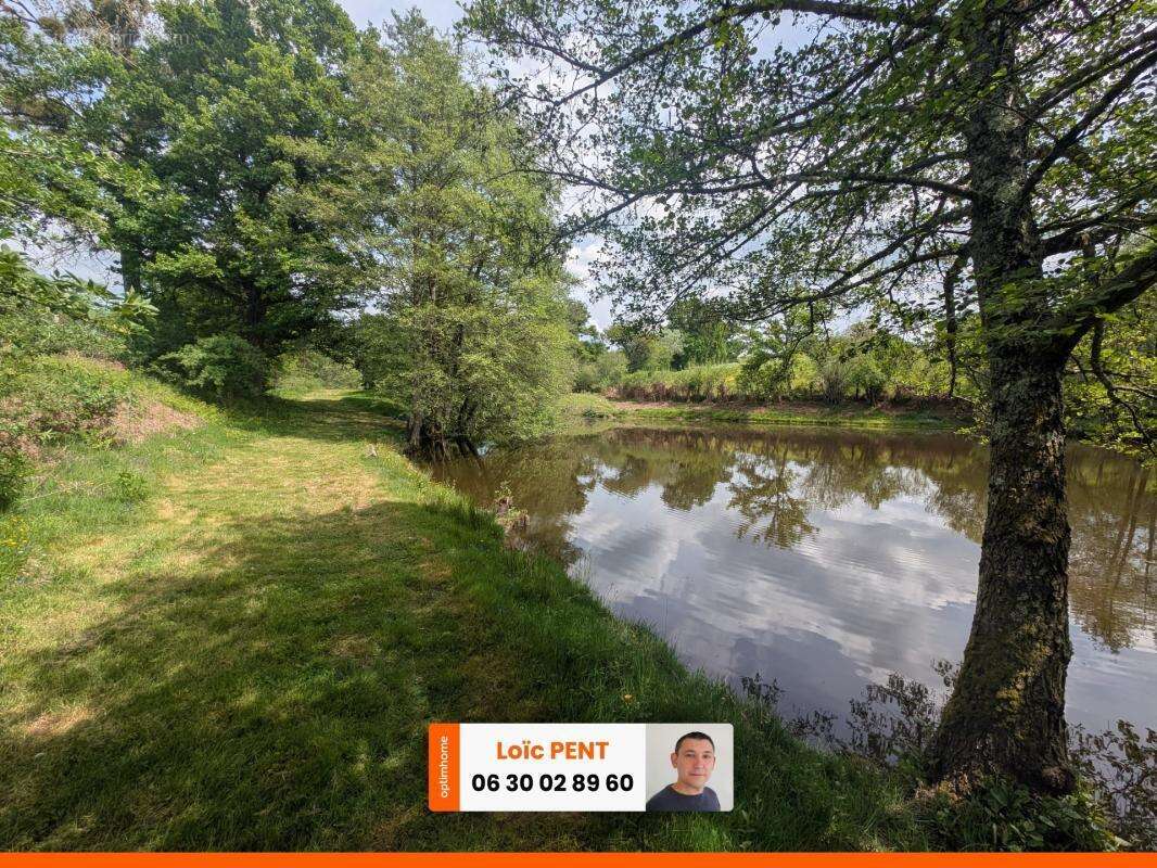 Etang à vendre sur un terrain de 26 033,00 m² LE MAYET DE MONTAGNE (03250) - photo 3
