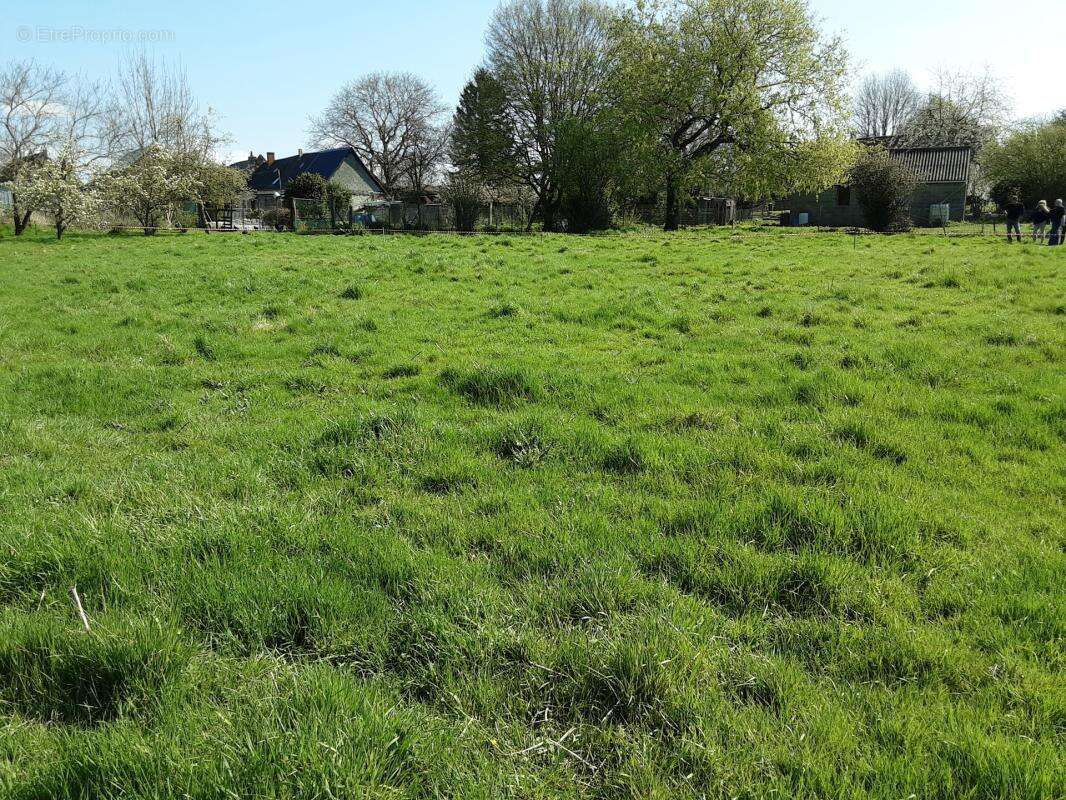 Terrain viabilise a vendre  baisse de prix /5 km de guise aisne - photo 1