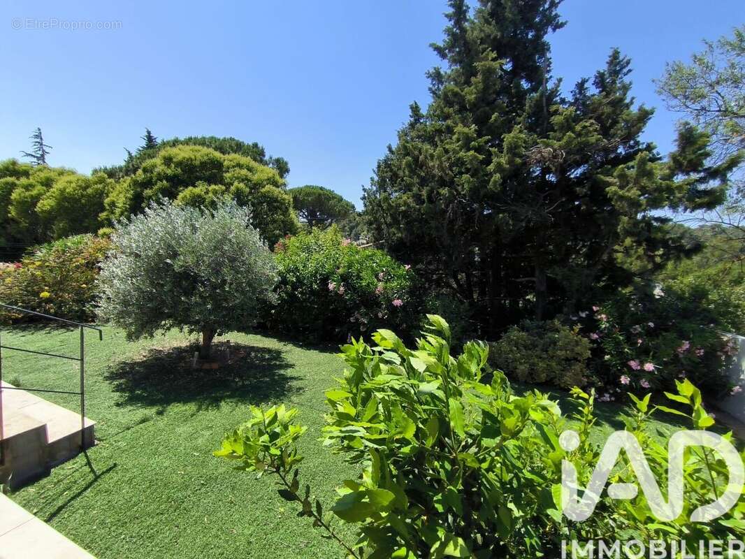 Photo 3 - Maison à BEAUCAIRE
