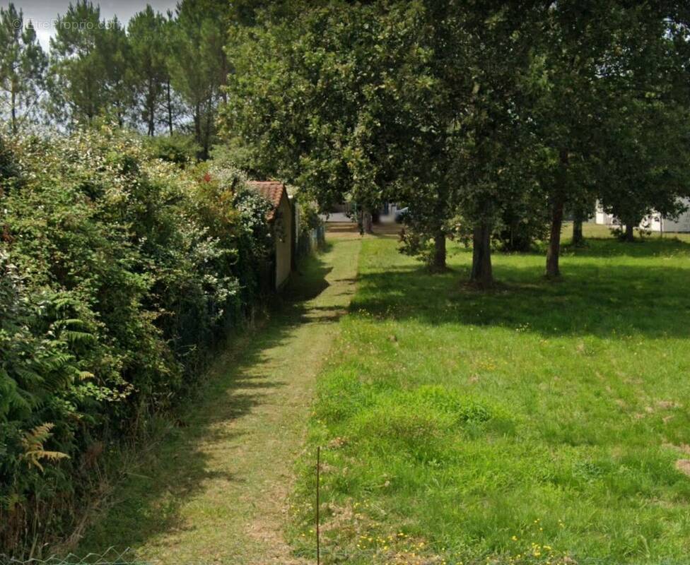 Terrain à BELIN-BELIET