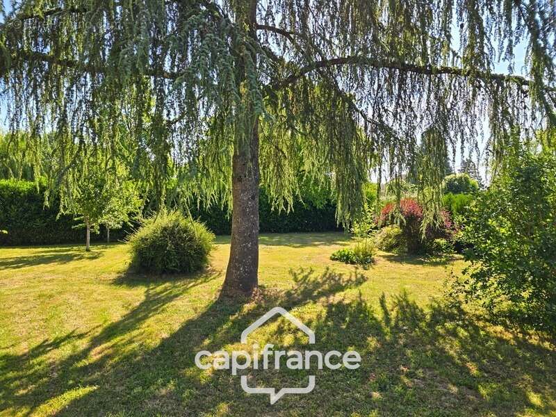PRÉMERY (58) – Maison familiale de 144 m² sur sous-sol complet – 4 chambres – Terrain arboré de 2 014 m² - photo 3