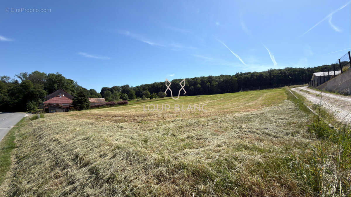 Terrain à MONTBOUTON