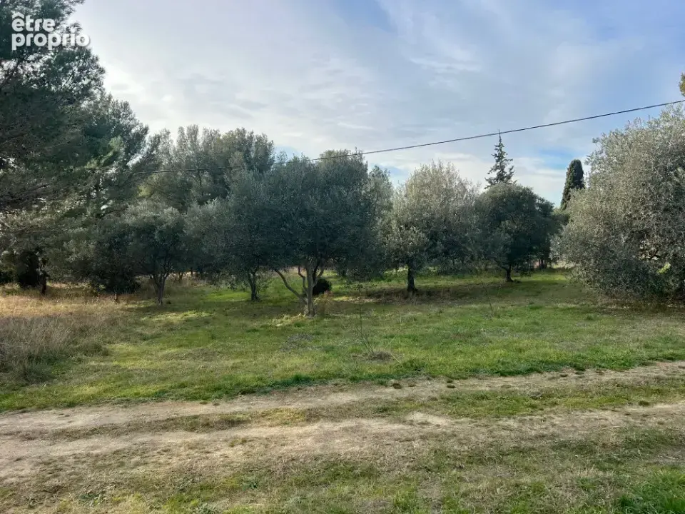 Terrain 650 m² à vendre à Saint-Chamas (13250) - photo 2