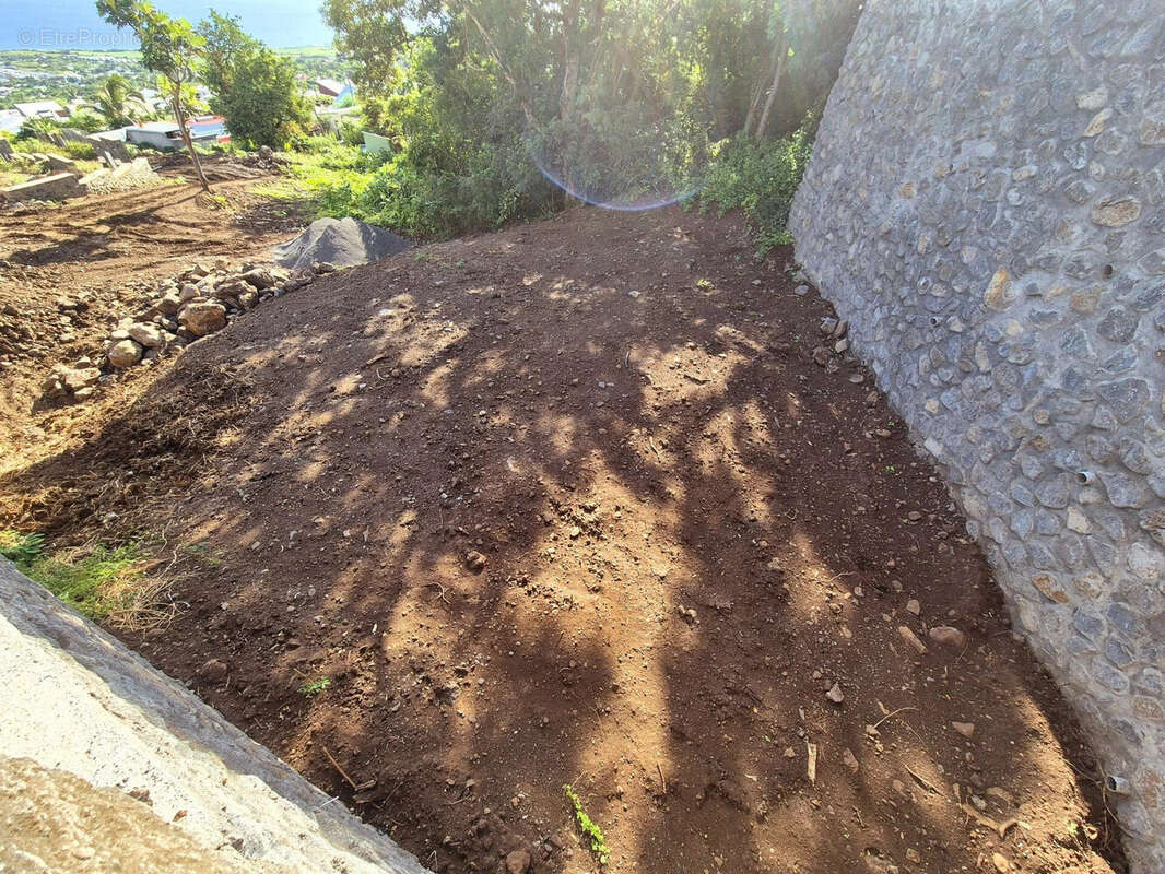 Terrain à SAINT-LEU