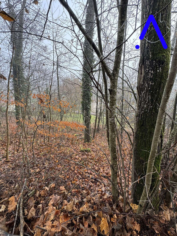 Terrain à LUNEVILLE