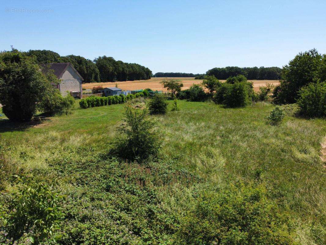 Terrain constructible arboré de 2 896 m² dans un environnement privilégié - La Madeleine de Nonancourt - photo 2