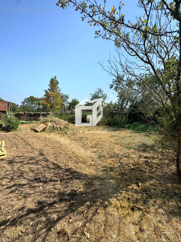 Maison à SAINTE-JULIETTE-SUR-VIAUR